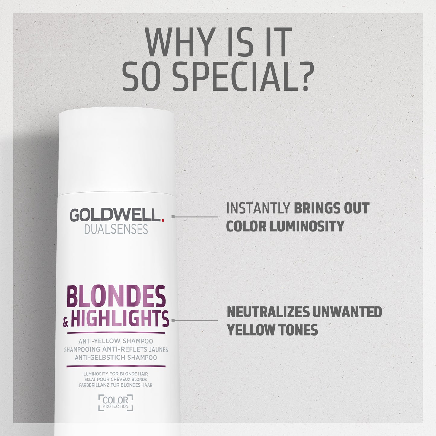 DS ANTI-YELLOW SHAMPOO