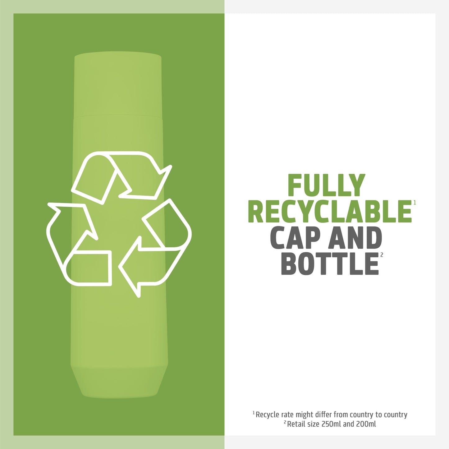 DS ANTI-YELLOW SHAMPOO